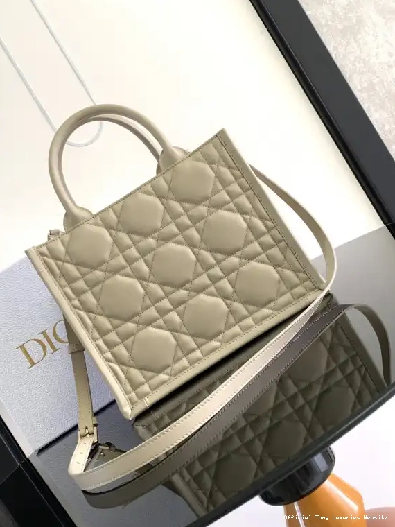Tony Luxuries Bags-26.5*21*14cm Small Tote diro 0511